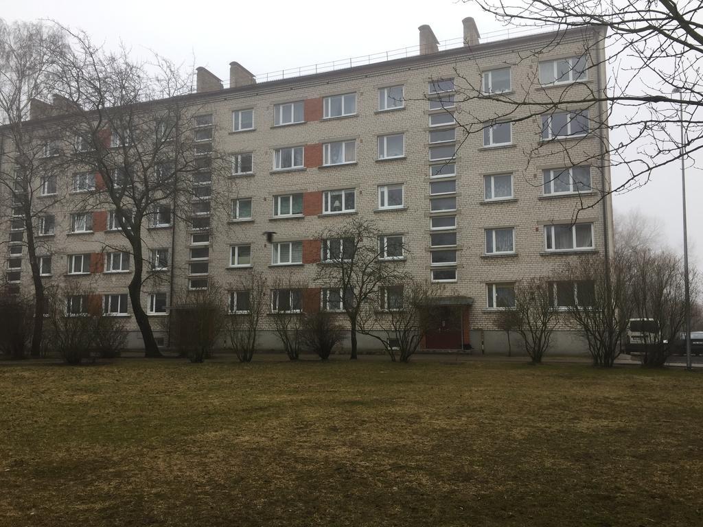 Klaipedas 108 Street Apartment 利耶帕亚 外观 照片